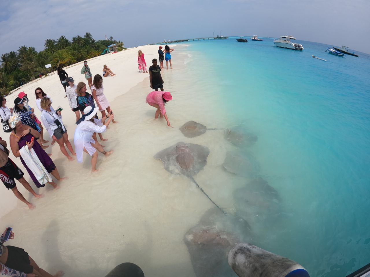 maldives