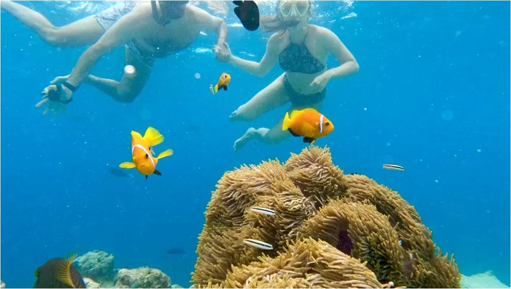 maldives