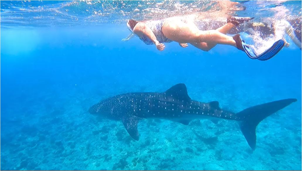 maldives