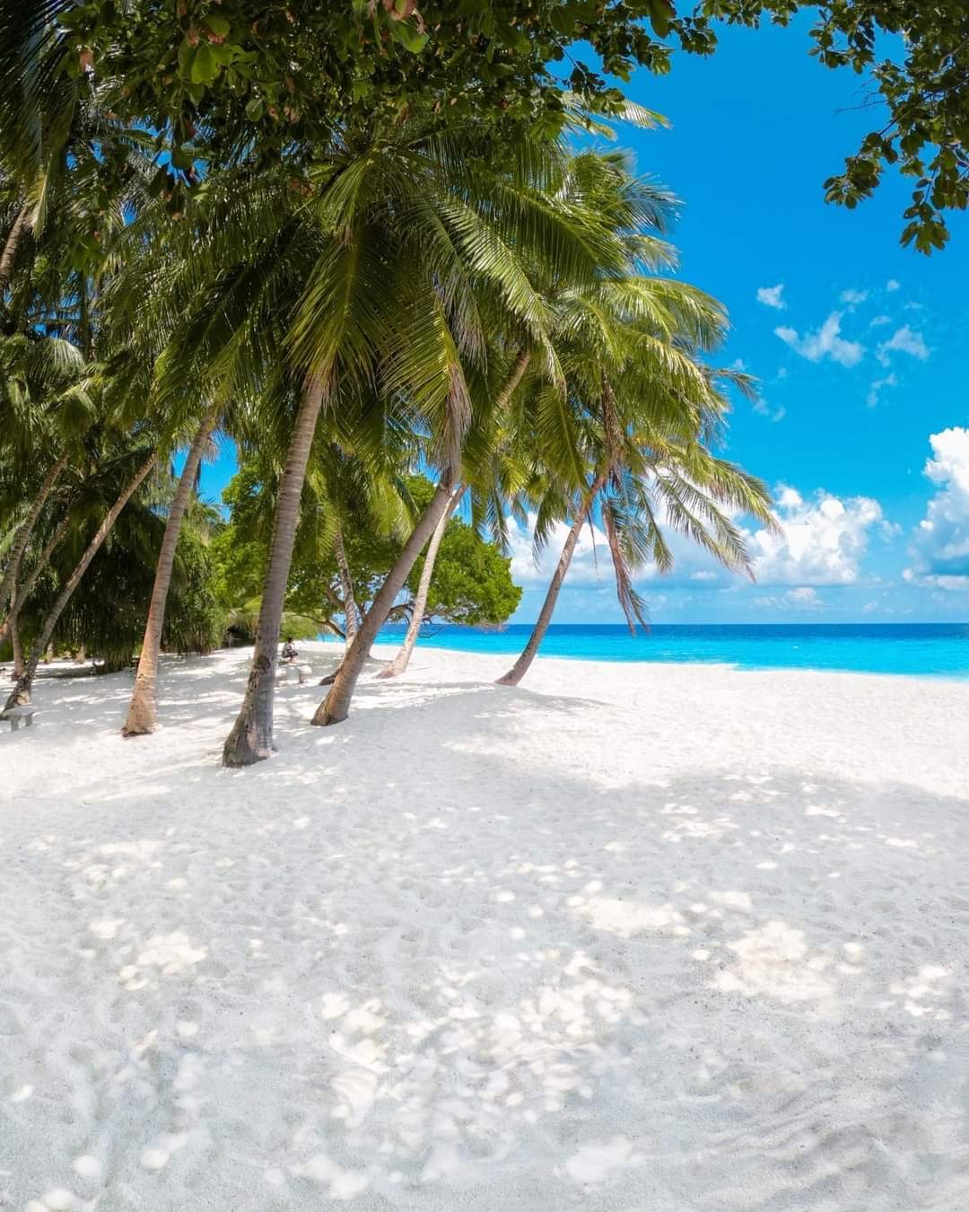 maldives
