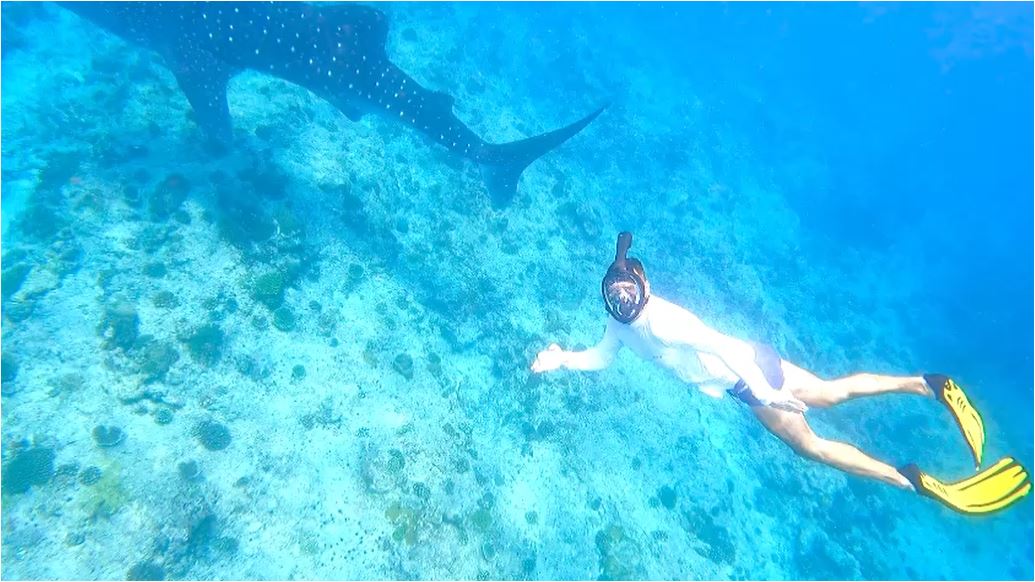 maldives