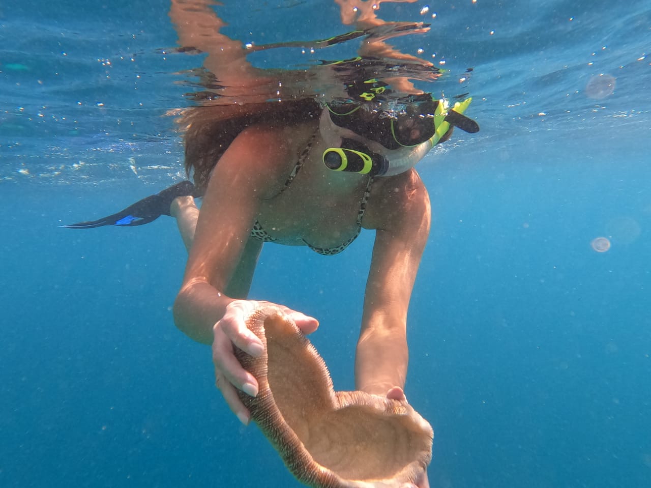maldives