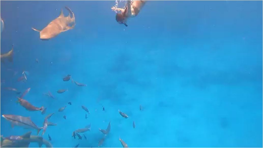 maldives