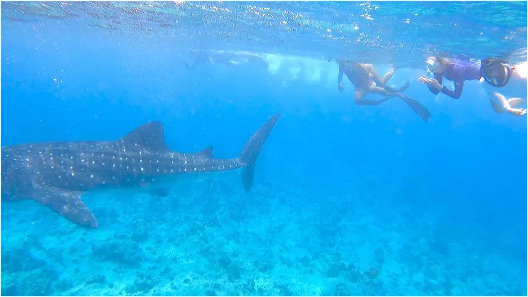 maldives