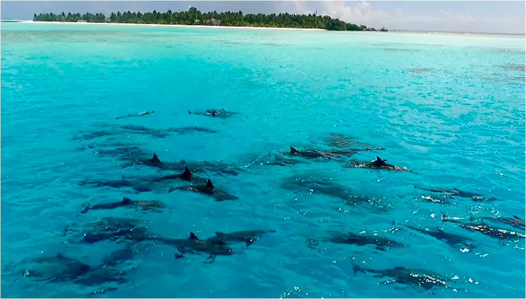 maldives